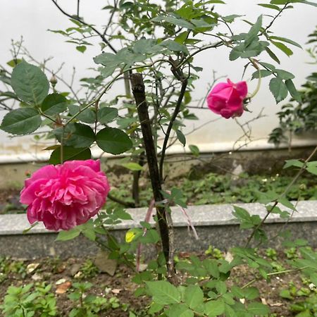 Nhat Long Homestay Huế Ngoại thất bức ảnh