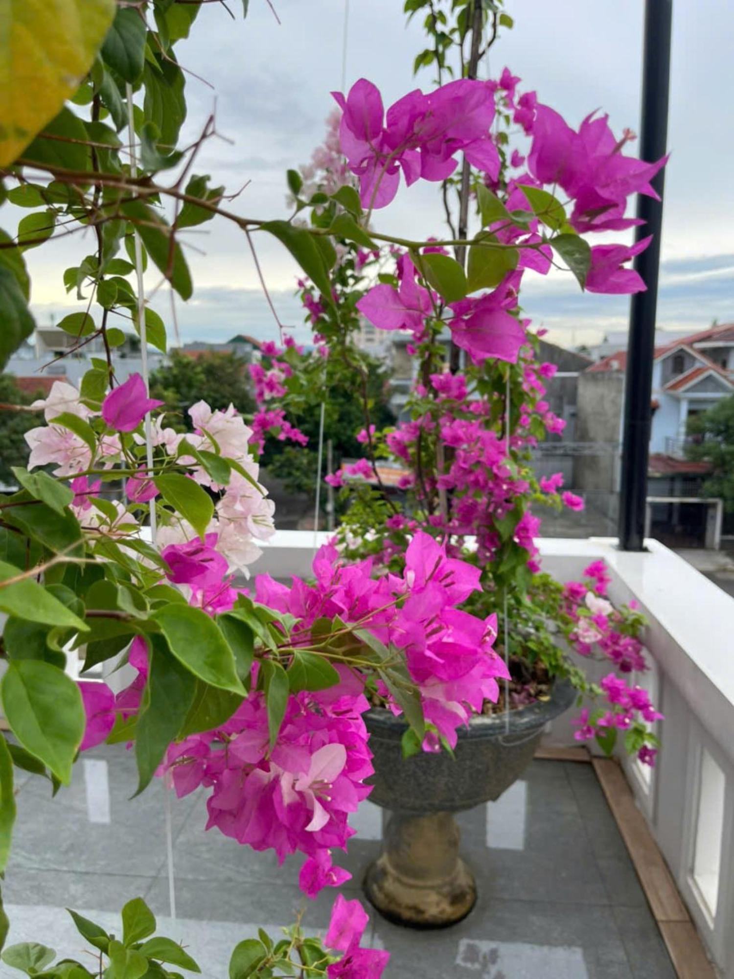 Nhat Long Homestay Huế Ngoại thất bức ảnh